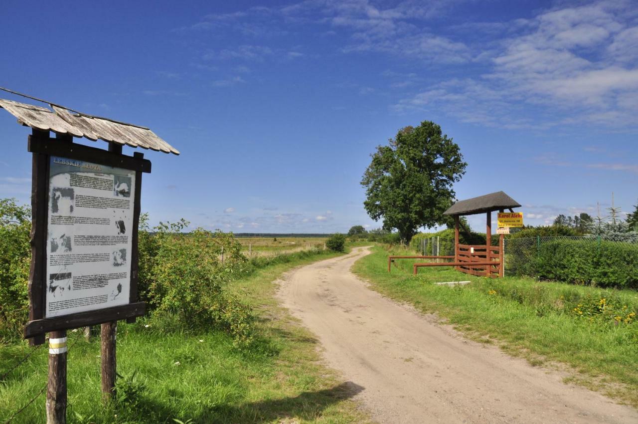 Homebaltic Łeba Kültér fotó